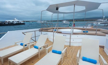 Tiburon Explorer_Upper Deck