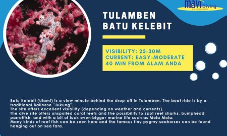 Tulamben Batu Kelebit