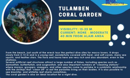 Tulamben Coral Garden