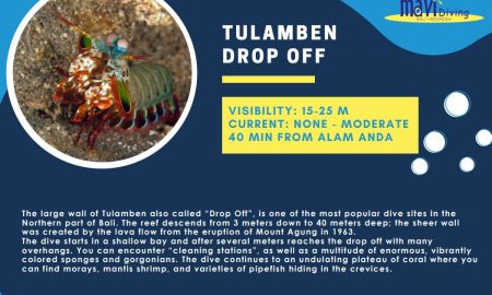 Tulamben Drop Off