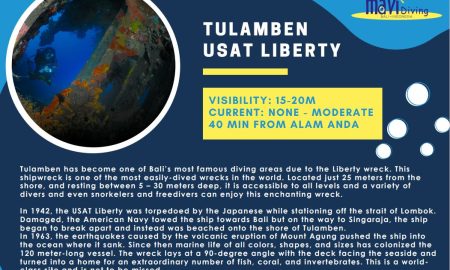 Tulamben Usat Liberty