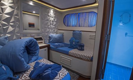 Sea Serpent Grand_Twin Bed Lower Deck
