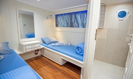 Sea Serpent Contessa_Twin Beds Lower Deck