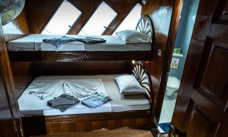 Amba_Standard Double Twin Cabin Bed