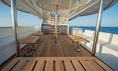 Sea Serpent Serena_Upper Deck