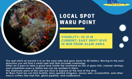 Waru Point