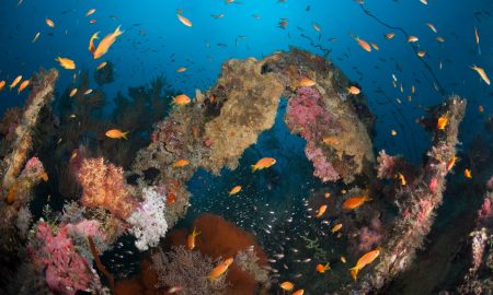 Wreck_01 ©B+P Lange