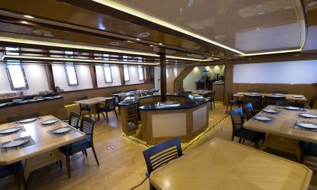 Golden Dolphin IV_Salon