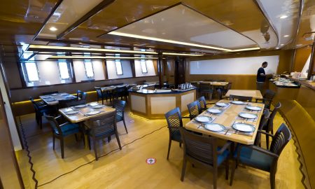 Golden Dolphin IV_Salon