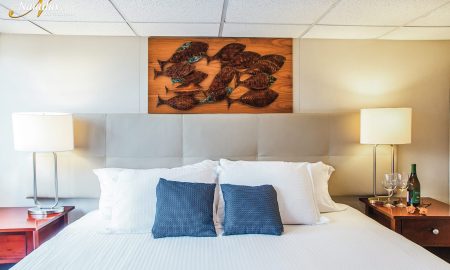 Nautilus Explorer_Premium Suite