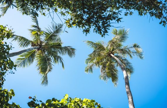 Nautilus Two_Maldives