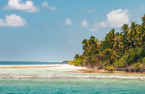 Abenteuerurlaub Tauchreisen karibische Insel Palmen Strand