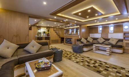 Golden Dolphin III_Salon