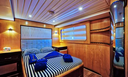 Golden Dolphin III_Suite