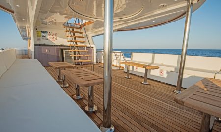 Sea Serpent Serena_Upper Deck