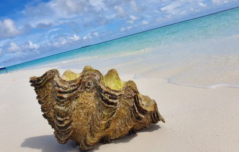 Maldives